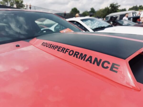 Roush Performance Hood Scoop Decal Stickers 2PC Set New OEM Oracle USA RS1 RS2 Fits Trucks & Cars