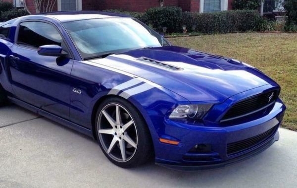 " Fender Race Stripes " Fits Mustang Cobra GT (Both Sides) - OEM New Oracle