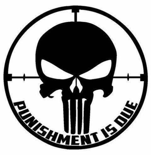 Punisher Star Skull Decal Target Fits Trucks SUV & Jeeps New 2PC Set Oracle