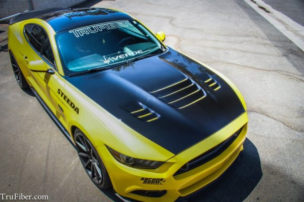 FORD MUSTANG TRUFIBER WINDSHIELD DECAL OUTLINE BANNER OEM GT SALEEN SHELBY
