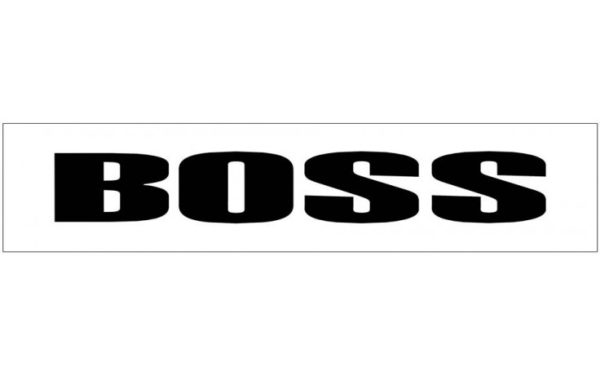 Mustang Boss Windshield Decal - OEM Part # N573