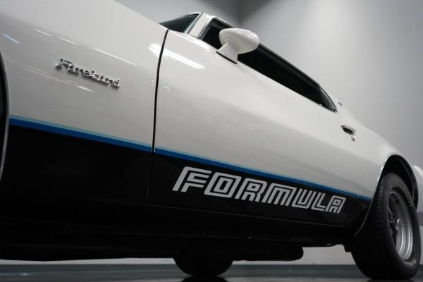 OEM Formula Outline Decal 2PC Kit New Lower Doors Fits Pontiac Firebird Trans Am