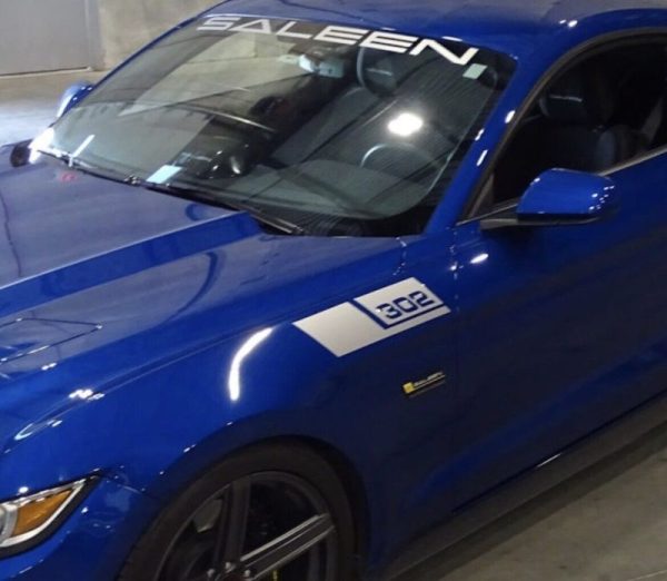 Saleen Windshield Banner Fender Decals 3PC Kit New Fits Ford Mustang Cobra 305 Boss GT Roush