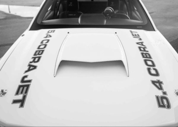 OEM Ford Mustang 5.4 Cobra Jet Vintage Body Decals 2PC Set New Universal