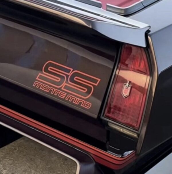 Chevy Monte Mino SS Vinyl Doors Trunk Bumper Decals Kit New 3PC Set Letters Only