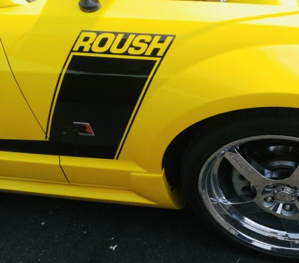 OEM ROUSH BOLD SIDE DOOR GRAPHIC DECALS NEW 2PC SET FITS FORD MUSTANG ORACLE