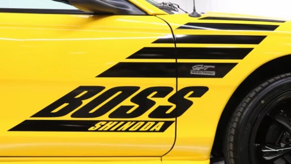 OEM 1994 FORD MUSTANG GT BOSS SHINODA FENDER HOOD SIDE GRAPHIC DECALS NEW 2PC SET LIMITED EDITION