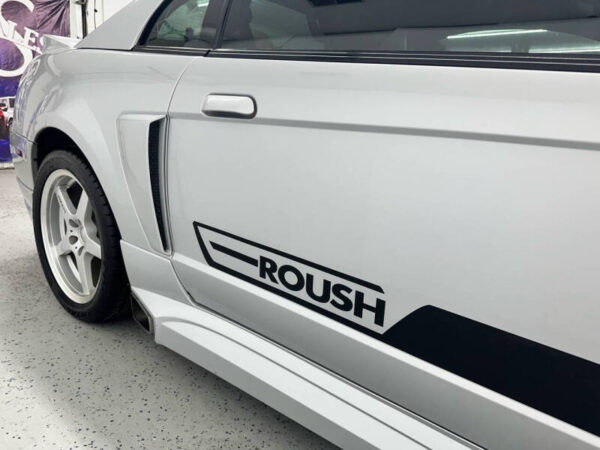 OEM 2002 ROUSH SIDE DOOR GRAPHIC DECALS NEW 2PC SET FITS FORD MUSTANG GT DELUXE RARE