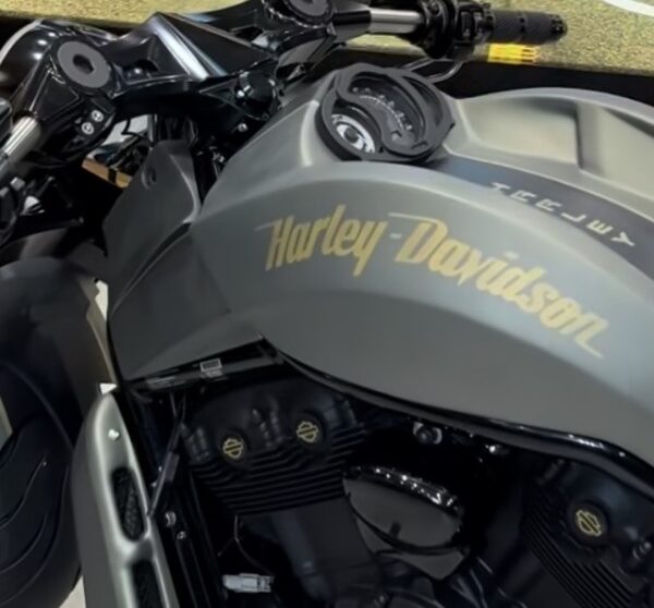 Harley Davidson Curved Tank Style Vintage Motorcycle Gas Tank Decals Stickers 2PC Set New OEM RARE