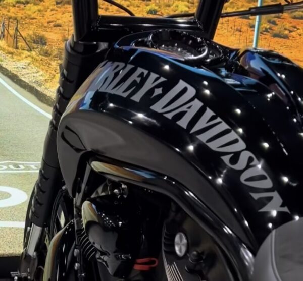 Harley Davidson Curved Style Vintage Motorcycle Gas Tank Decals Stickers 2PC Set New OEM RARE