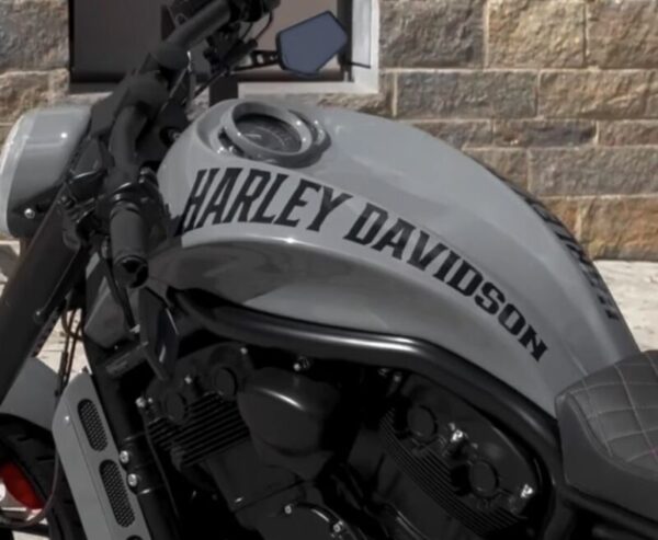 Harley Davidson Custom Style 1 Motorcycle Gas Tank Decals Stickers 2PC Set New OEM RARE