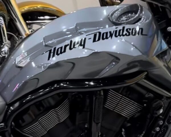 Harley Davidson Custom Outline Style #13 Motorcycle Gas Tank Decals Stickers 2PC Set New OEM RARE