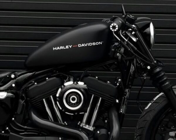 Harley Davidson Custom Style #19 Motorcycle Gas Tank Decals Stickers 2PC Set New OEM RARE