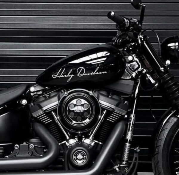 Harley Davidson Custom Script Style Vintage Motorcycle Gas Tank Decals Stickers 2PC Set New OEM RARE