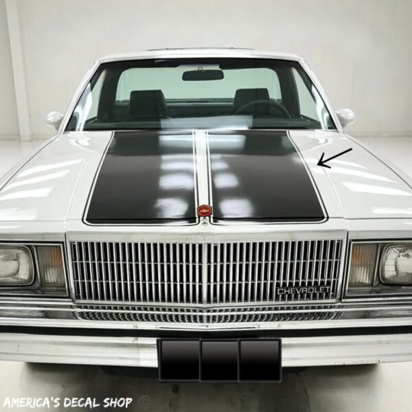 OEM CHEVY EL CAMINO SS  1978 1980 1985 1987 - DUAL HOOD & TAILGATE STRIPES LETTERING