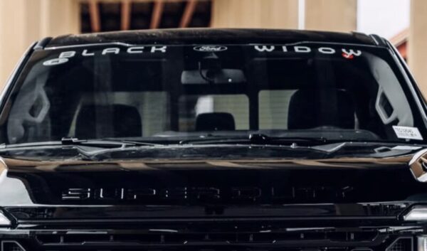 2015-2026 OEM Ford Black Widow Etched Glass Windshield Decal Banner Fits Trucks NEW Limited Stock