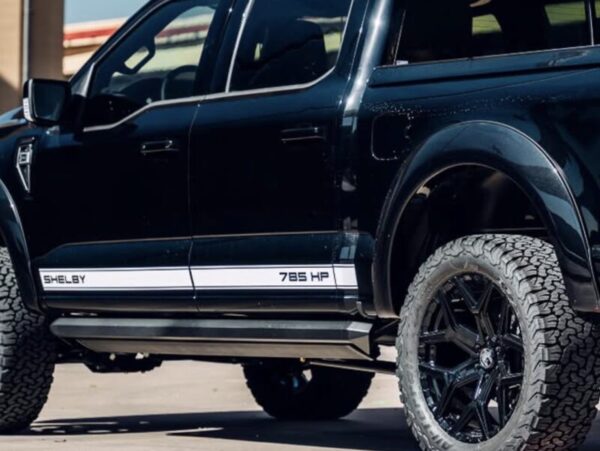 OEM Replacement Ford Shelby 785 HP Truck Lower Door Trim Vinyl Decal 2PC Set NEW