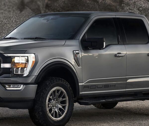 Custom Ford F-150 Roush Spears Door Tailgate Body Decals 2PC Set New RARE STOCK Fits Ram & GMC Denali